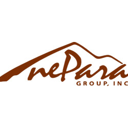 NePara Group Inc Logo