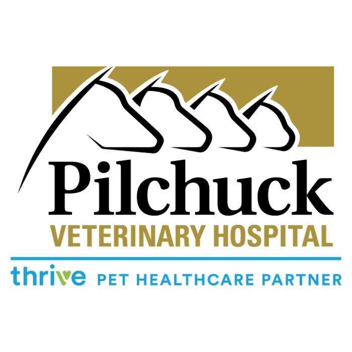 Pilchuck Veterinary Hospital - Equine Logo