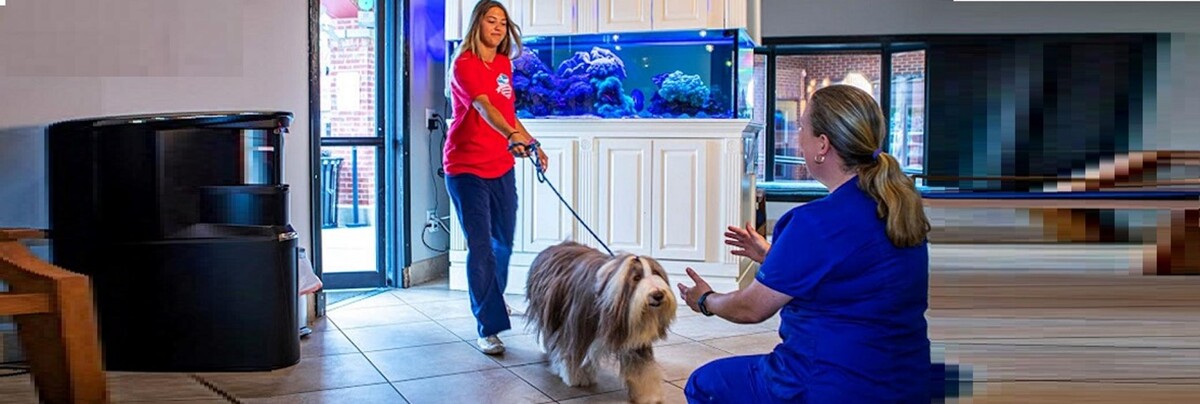 Images Dunwoody Animal Medical Center