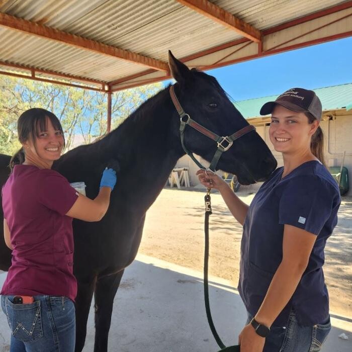 Images Reata Veterinary Hospital