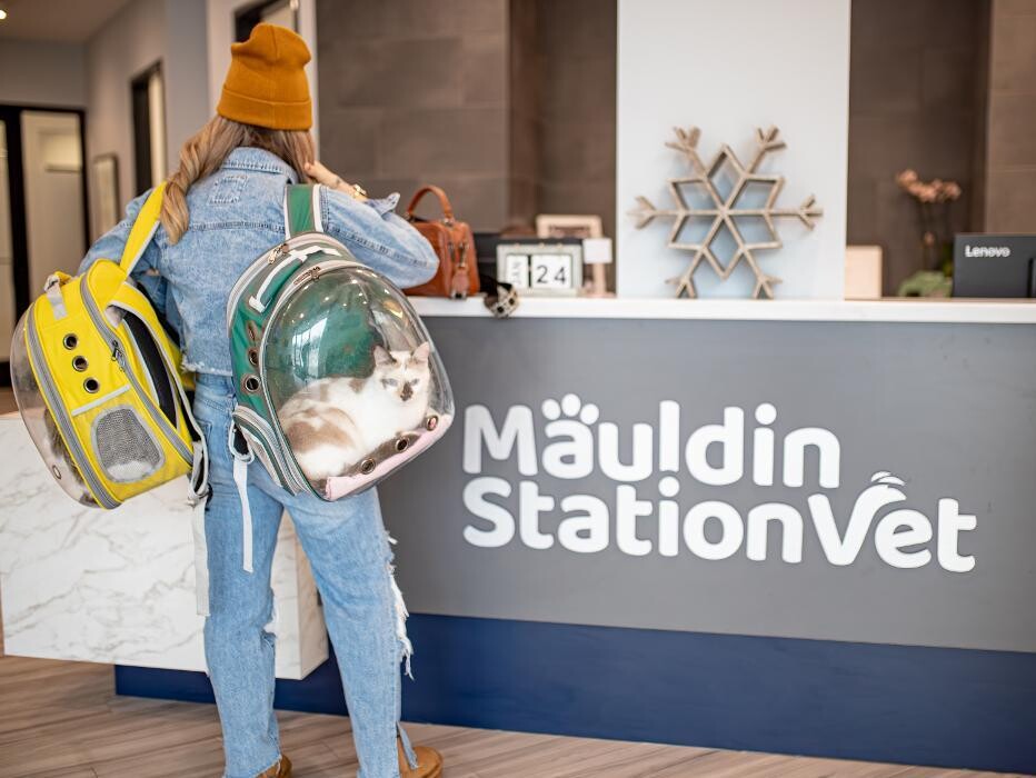 Images Mauldin Station Vet