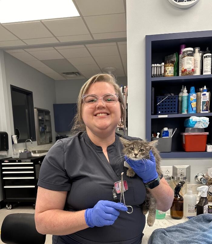 Images Mauldin Station Vet