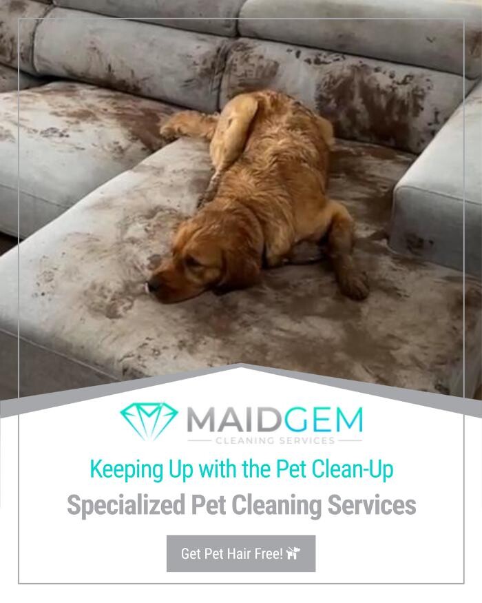 Images Maid Gem Cleaning Service