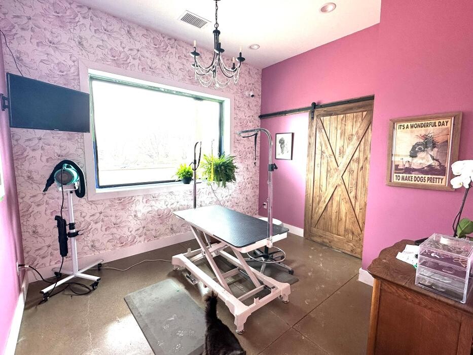 Images P-K Pet Resort & Spa