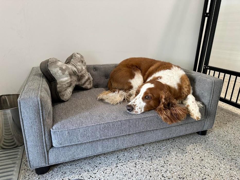 Images P-K Pet Resort & Spa