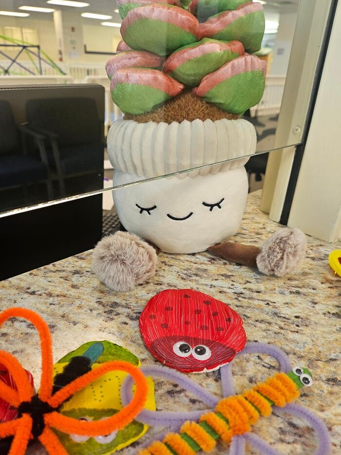 Images Life Skills Autism Academy ABA Therapy Center