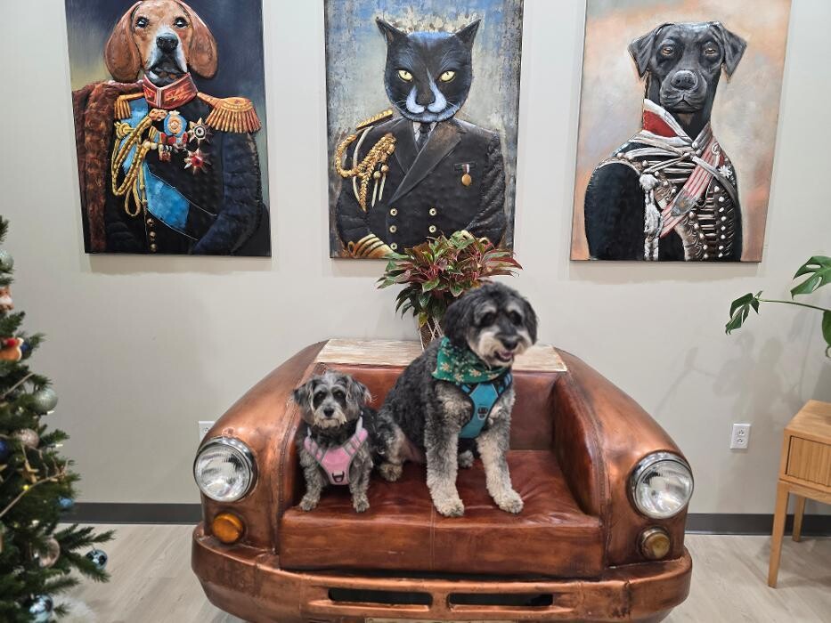 Images Stone Ave Vet