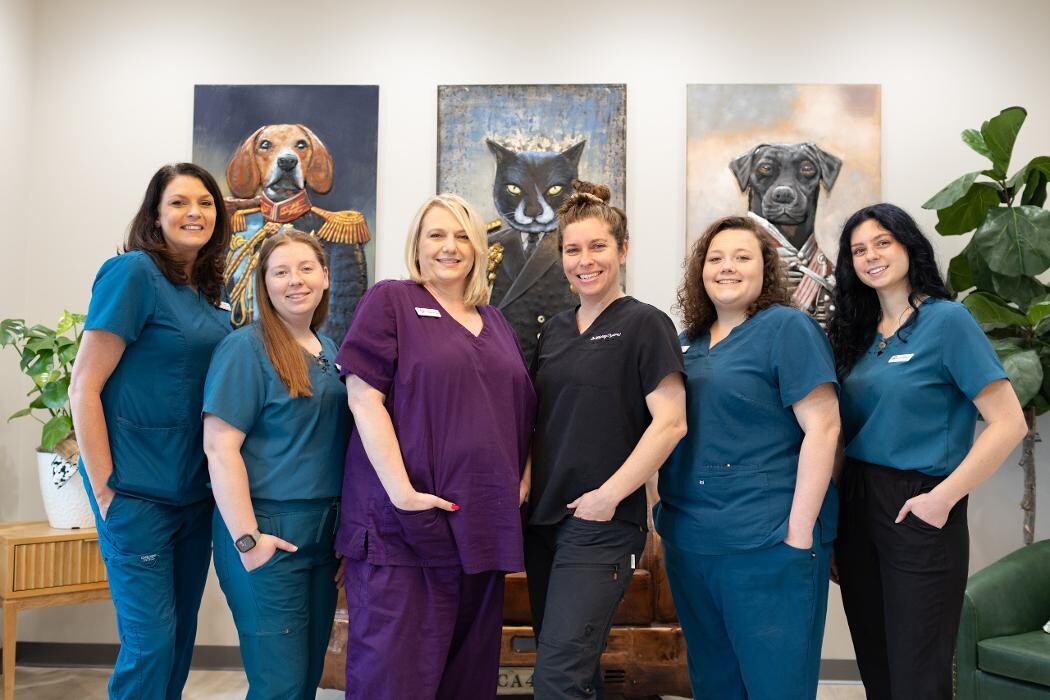 Images Stone Ave Vet