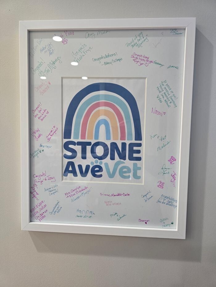 Images Stone Ave Vet