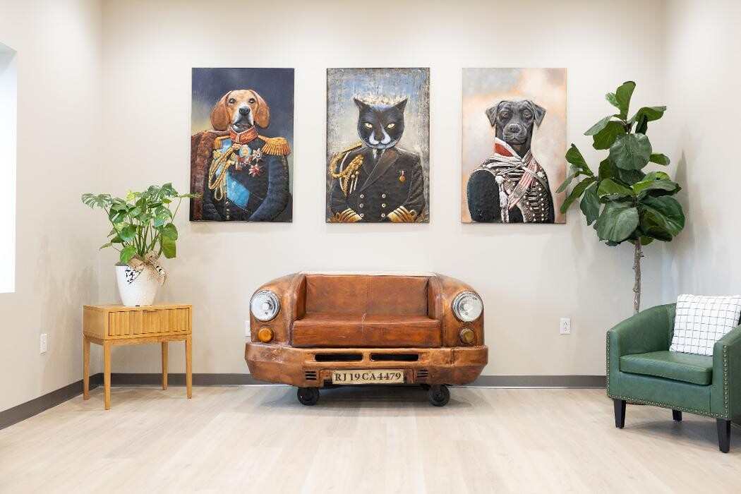Images Stone Ave Vet