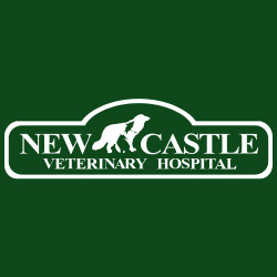 New Castle Veterinary Hospital Logo