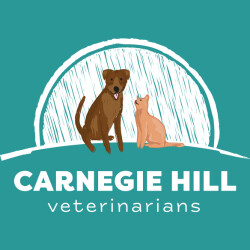 Carnegie Hill Veterinarians Logo