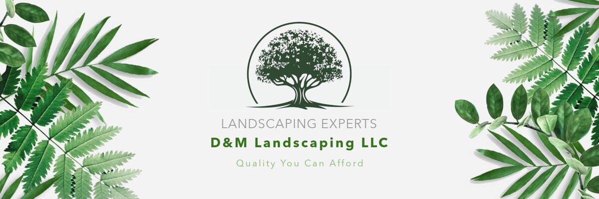 Images D&M Mowing & Landscaping LLC
