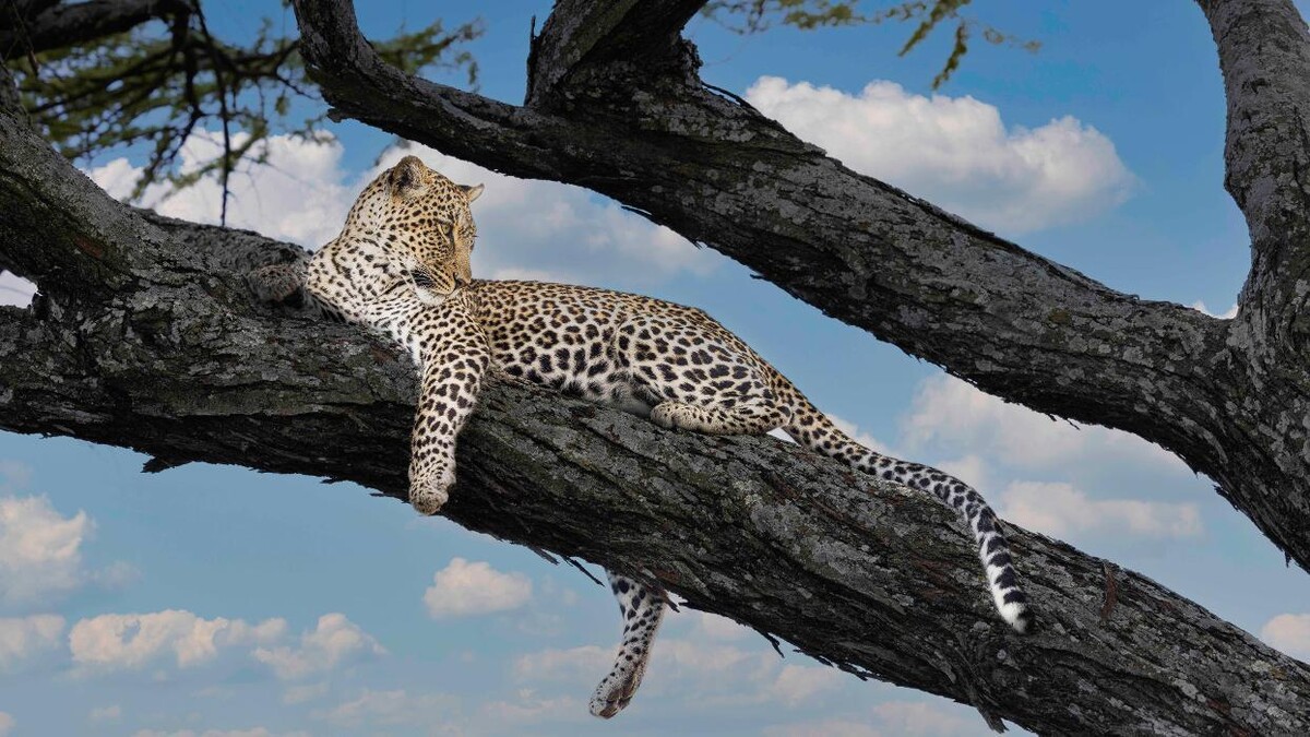 Images Drive On Photography