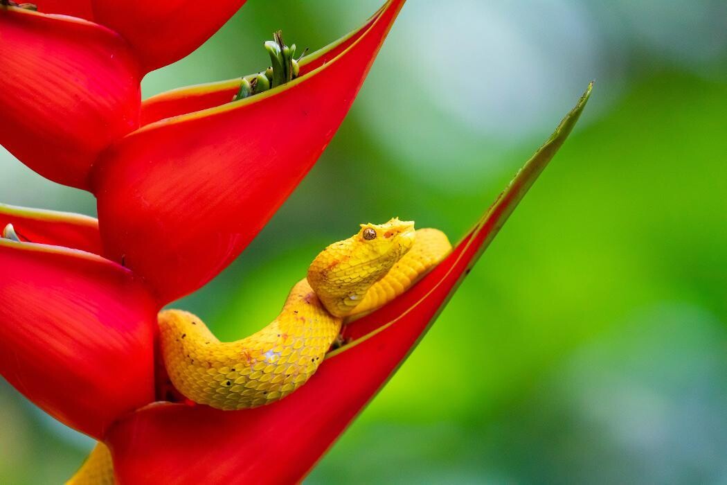 Images Drive On Photography