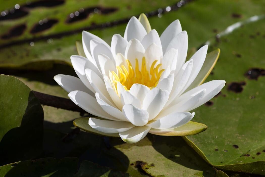 Images Drive On Photography