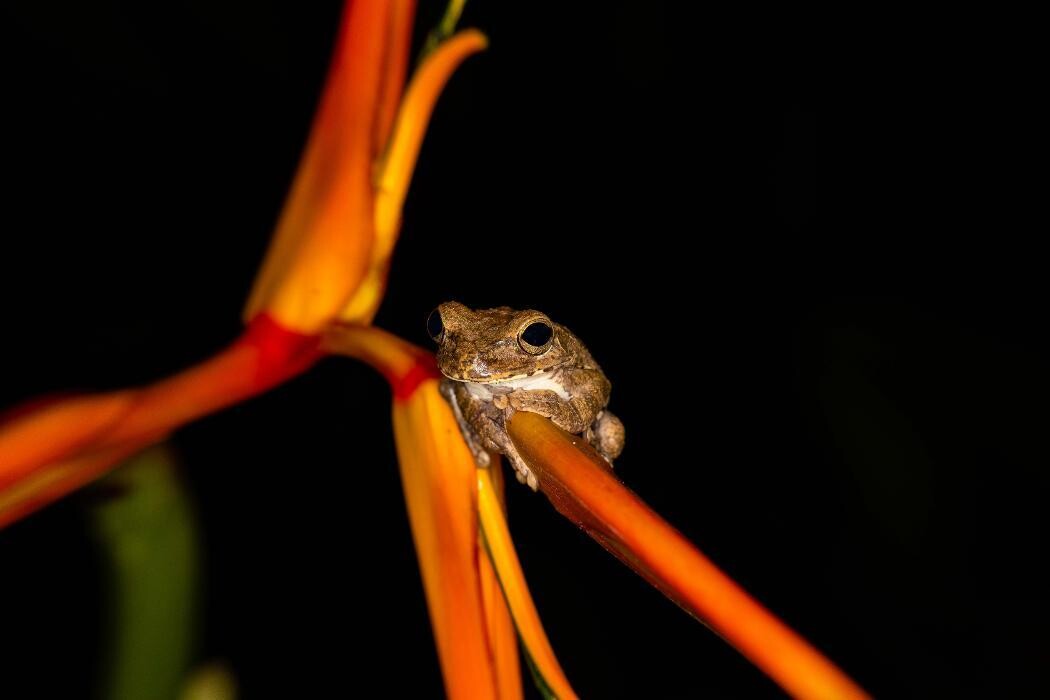 Images Drive On Photography