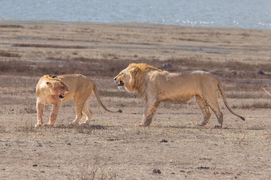 Images Drive On Photography