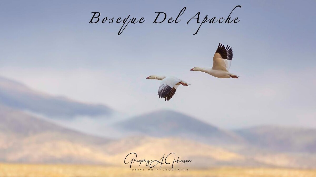 Images Drive On Photography