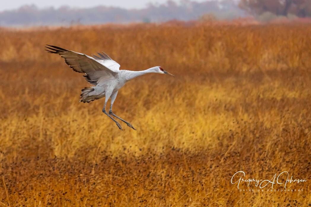 Images Drive On Photography