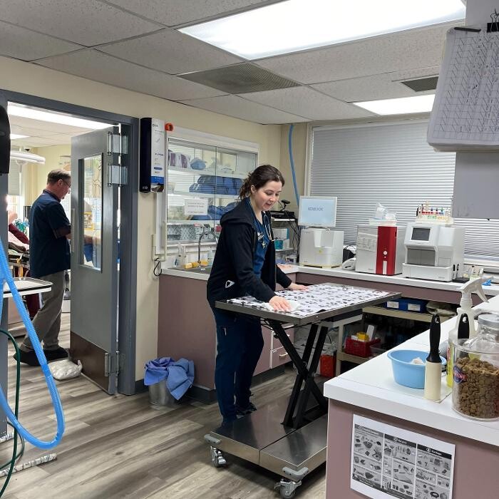 Images Pet Care Center at Luna Park