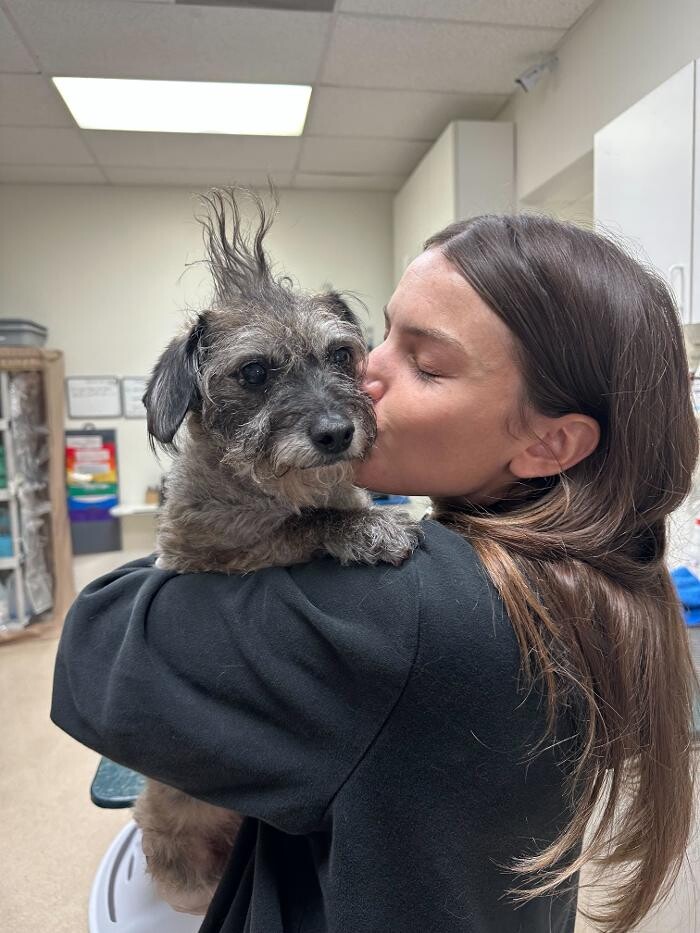 Images Irvine Valley Veterinary Hospital