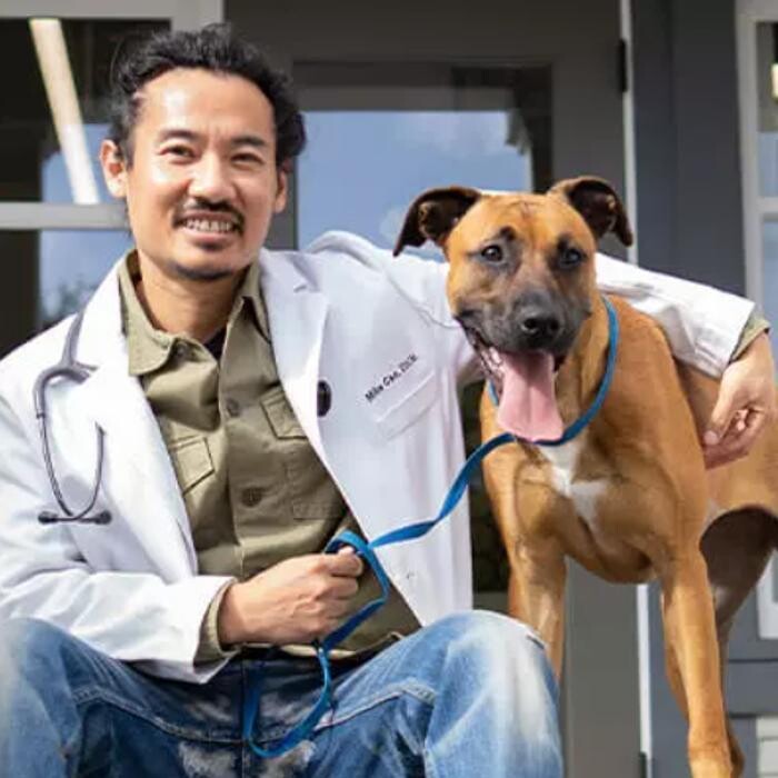 Images Irvine Valley Veterinary Hospital