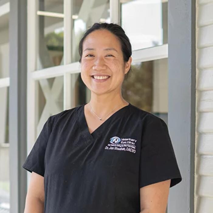 Images Irvine Valley Veterinary Hospital