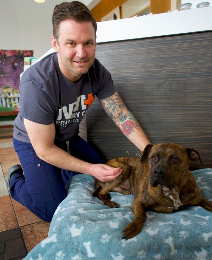 Images Irvine Valley Veterinary Hospital