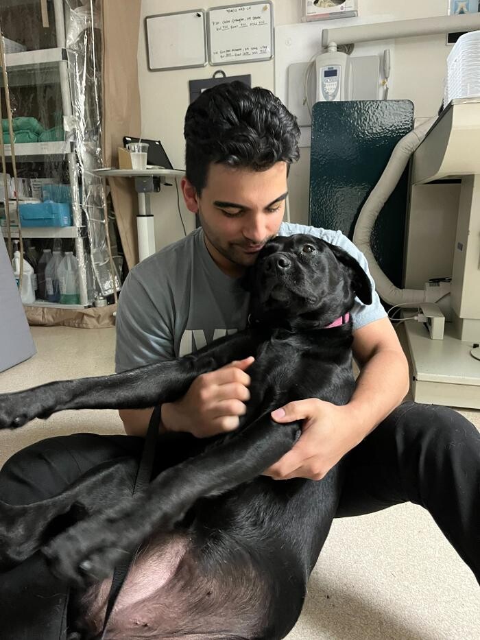 Images Irvine Valley Veterinary Hospital