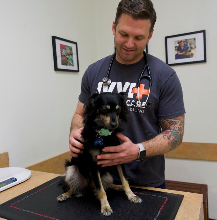 Images Irvine Valley Veterinary Hospital