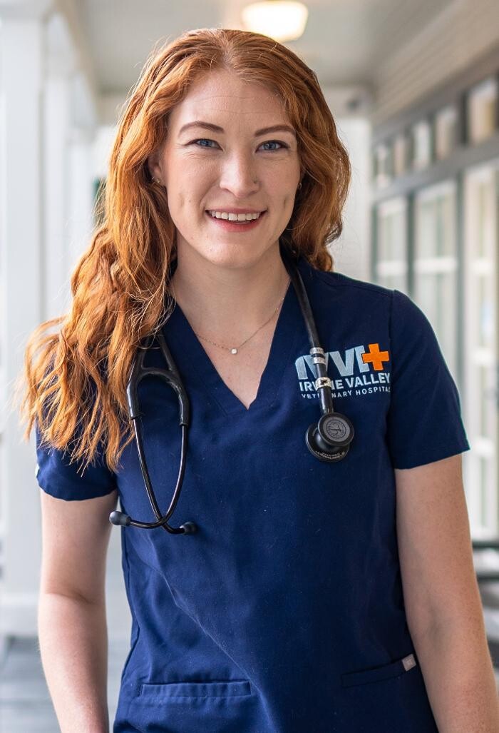 Images Irvine Valley Veterinary Hospital Emergency