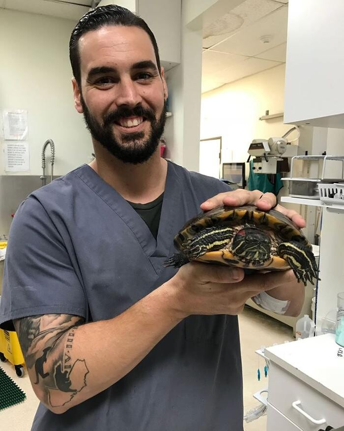 Images Irvine Valley Veterinary Hospital Emergency