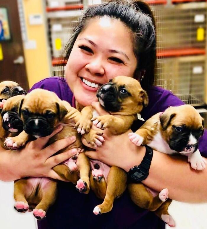 Images Irvine Valley Veterinary Hospital Emergency