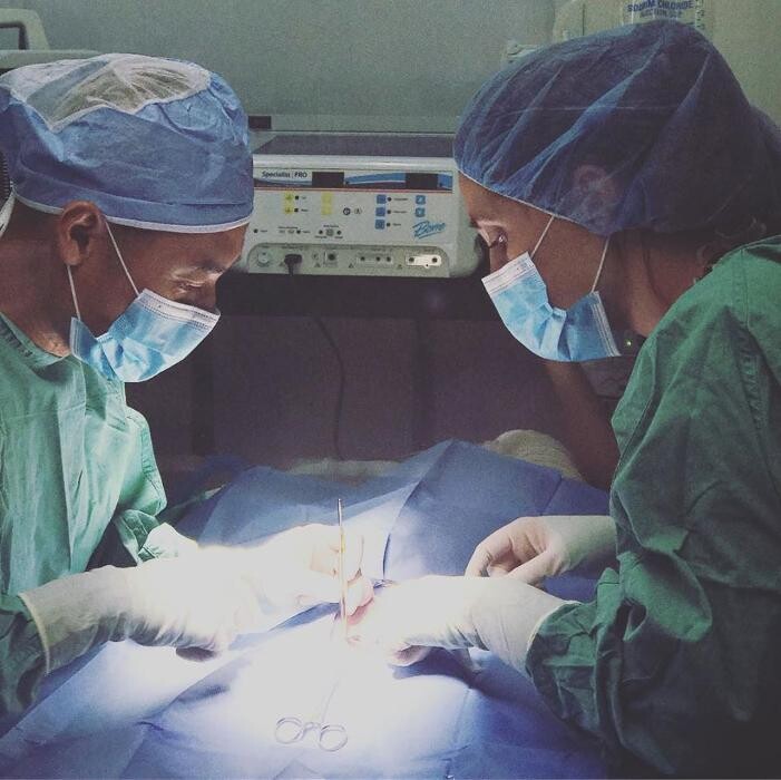 Images Irvine Valley Veterinary Hospital Emergency