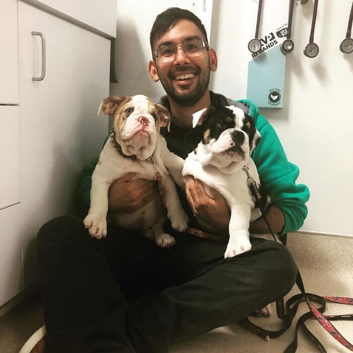 Images Irvine Valley Veterinary Hospital Emergency