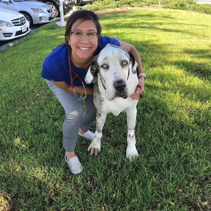 Images Irvine Valley Veterinary Hospital Emergency