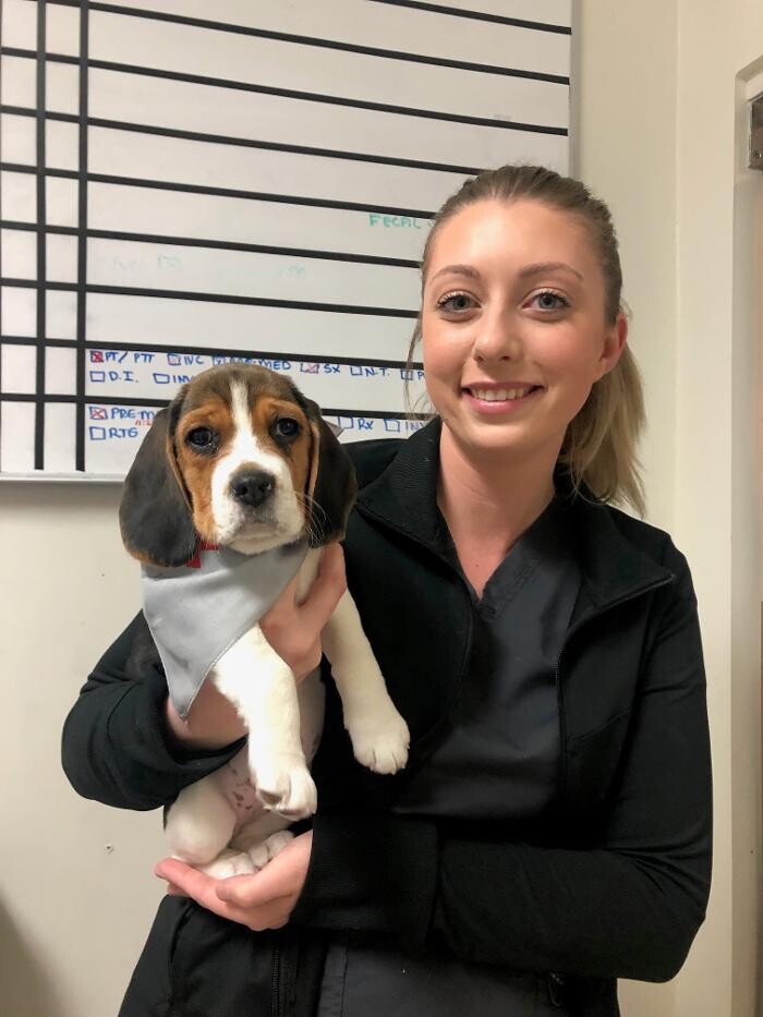 Images Irvine Valley Veterinary Hospital Emergency