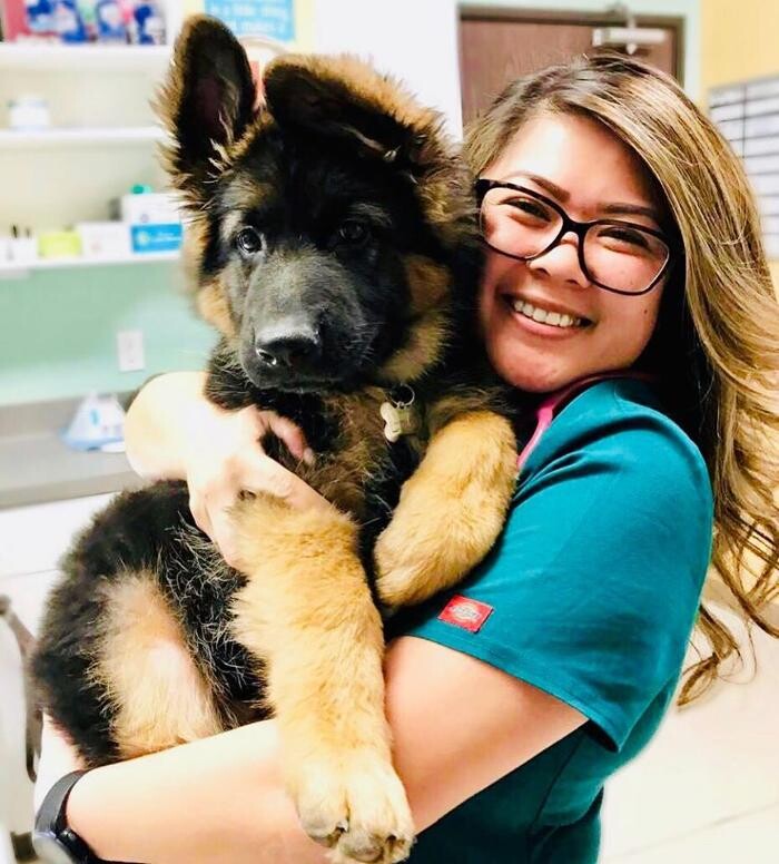 Images Irvine Valley Veterinary Hospital Emergency