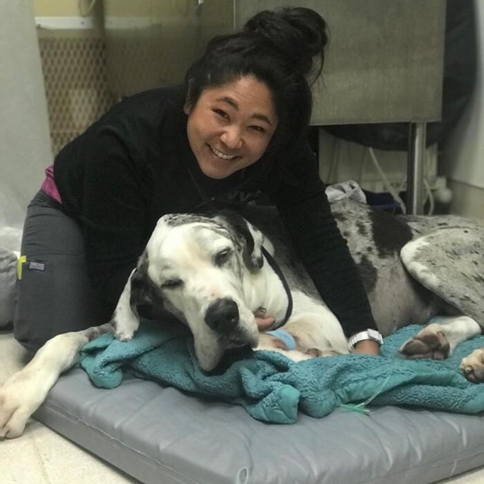 Images Irvine Valley Veterinary Hospital Emergency