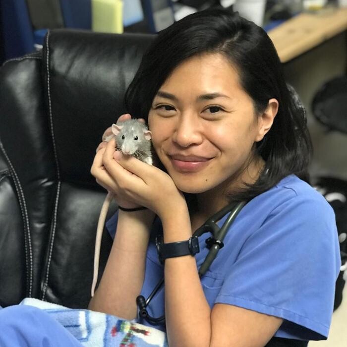 Images Irvine Valley Veterinary Hospital Emergency