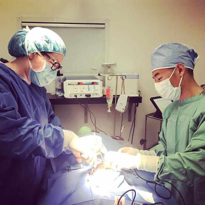 Images Irvine Valley Veterinary Hospital Emergency