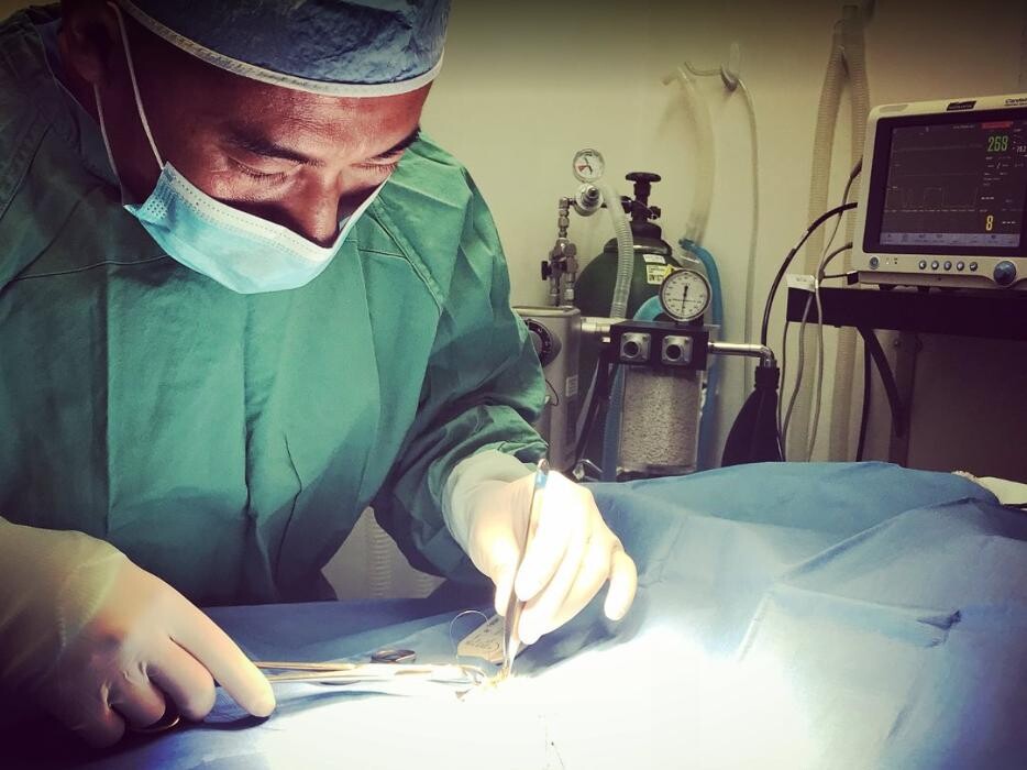 Images Irvine Valley Veterinary Hospital Emergency