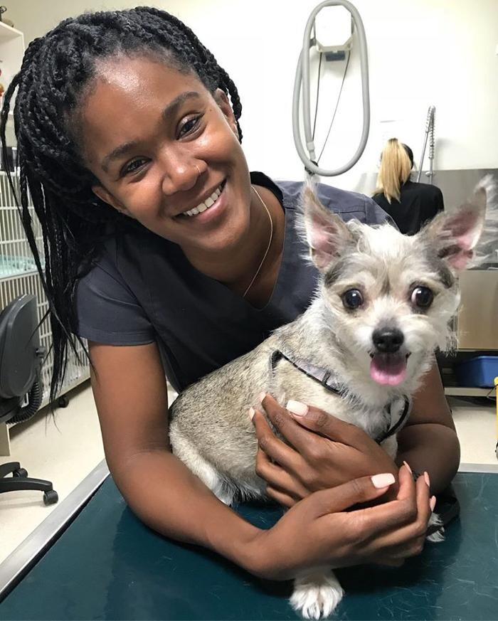 Images Irvine Valley Veterinary Hospital Emergency