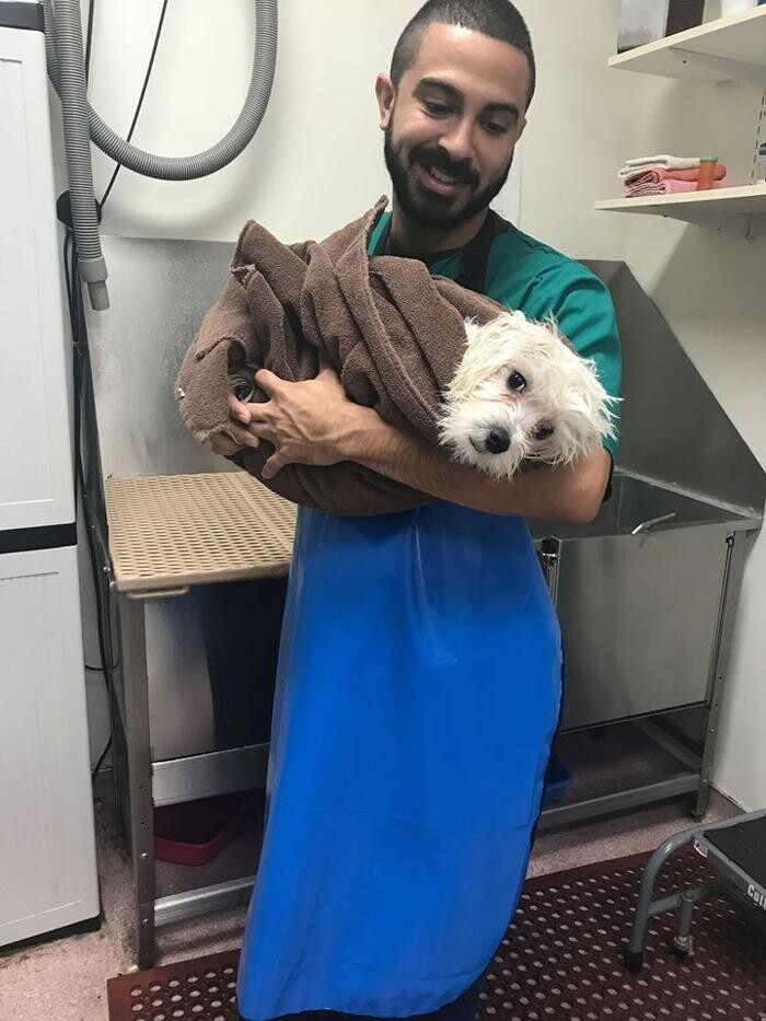 Images Irvine Valley Veterinary Hospital Emergency