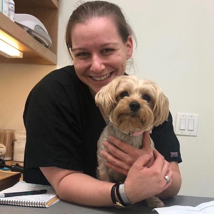 Images Irvine Valley Veterinary Hospital Emergency