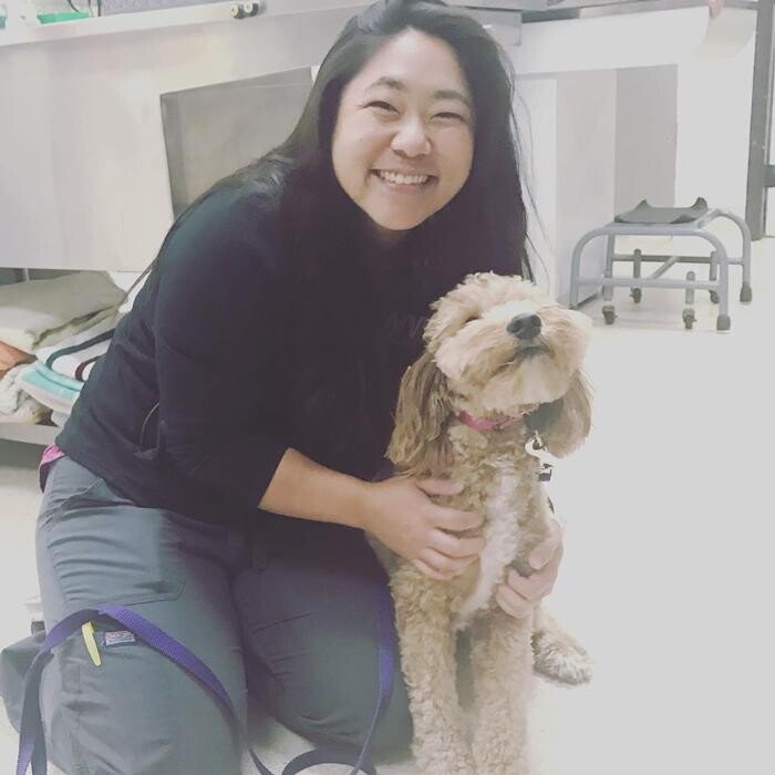 Images Irvine Valley Veterinary Hospital Emergency