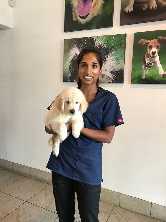 Images Irvine Valley Veterinary Hospital Emergency