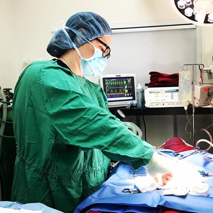 Images Irvine Valley Veterinary Hospital Emergency