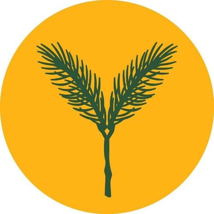 Yellow Spruce Roasters Logo